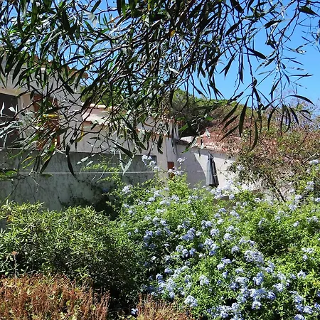 Sant Ambroggio Apartment Lumio  Exterior photo
