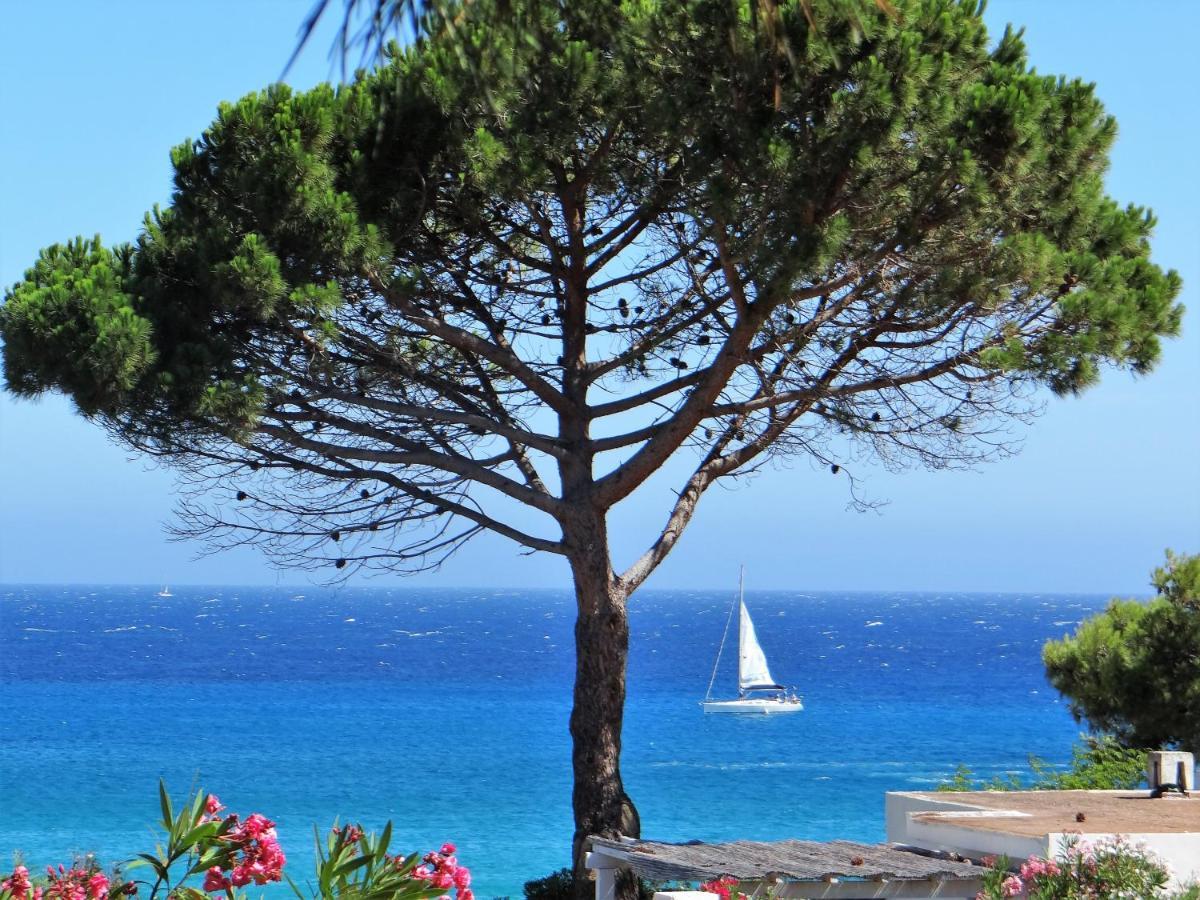 Sant Ambroggio Apartment Lumio (Corsica)