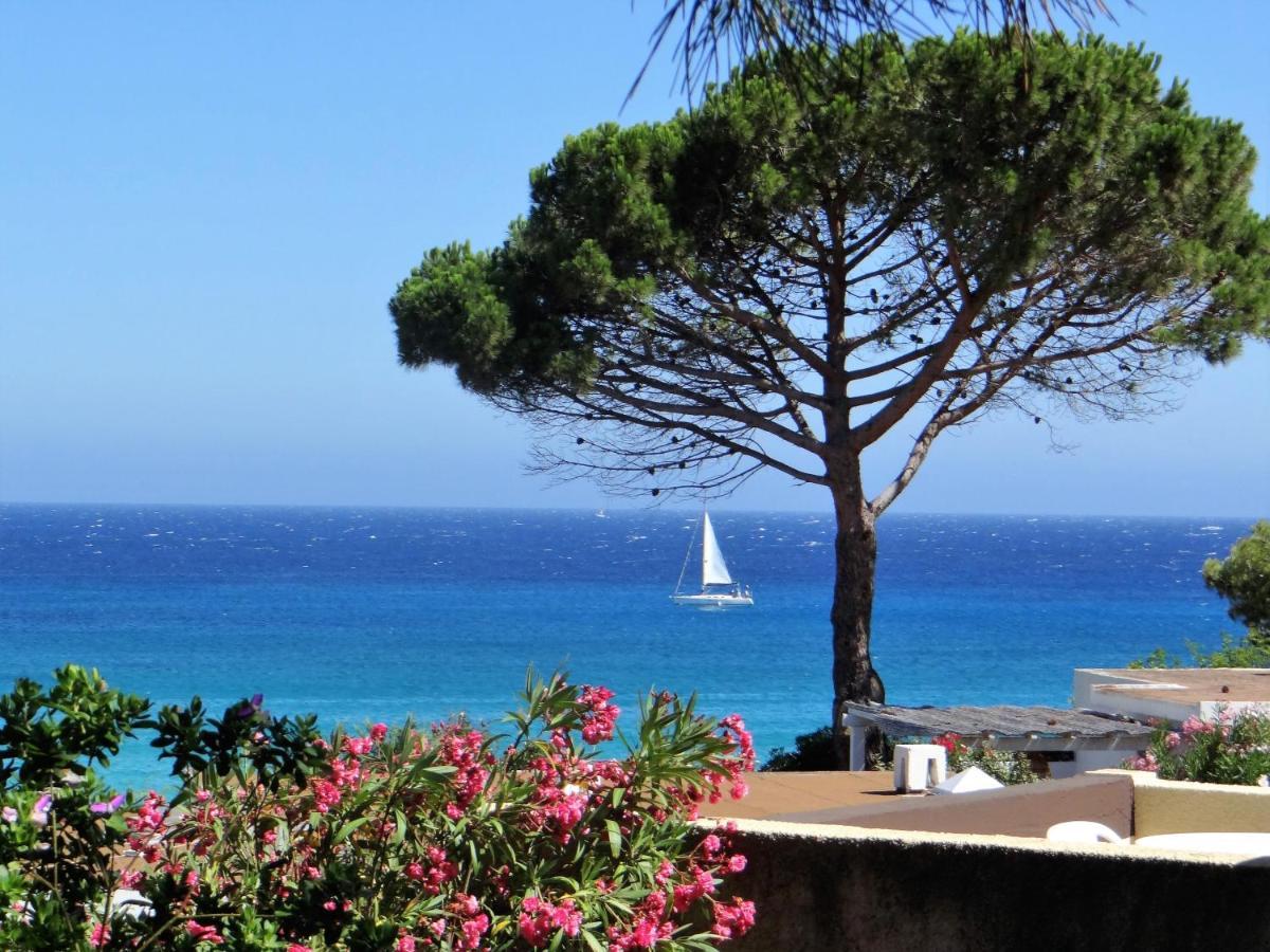 Sant Ambroggio * Lumio (Corsica)