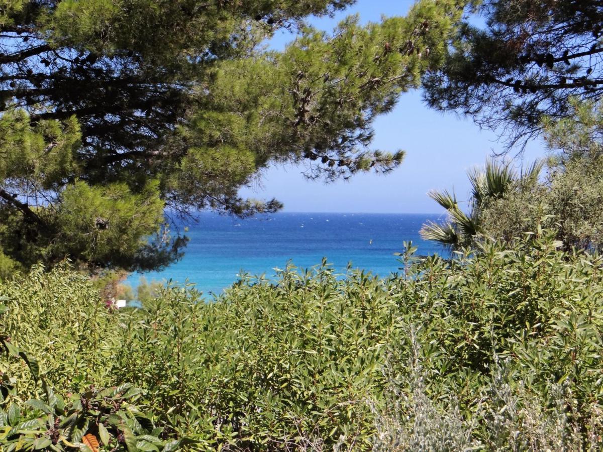 Apartment Sant Ambroggio Lumio (Corsica)