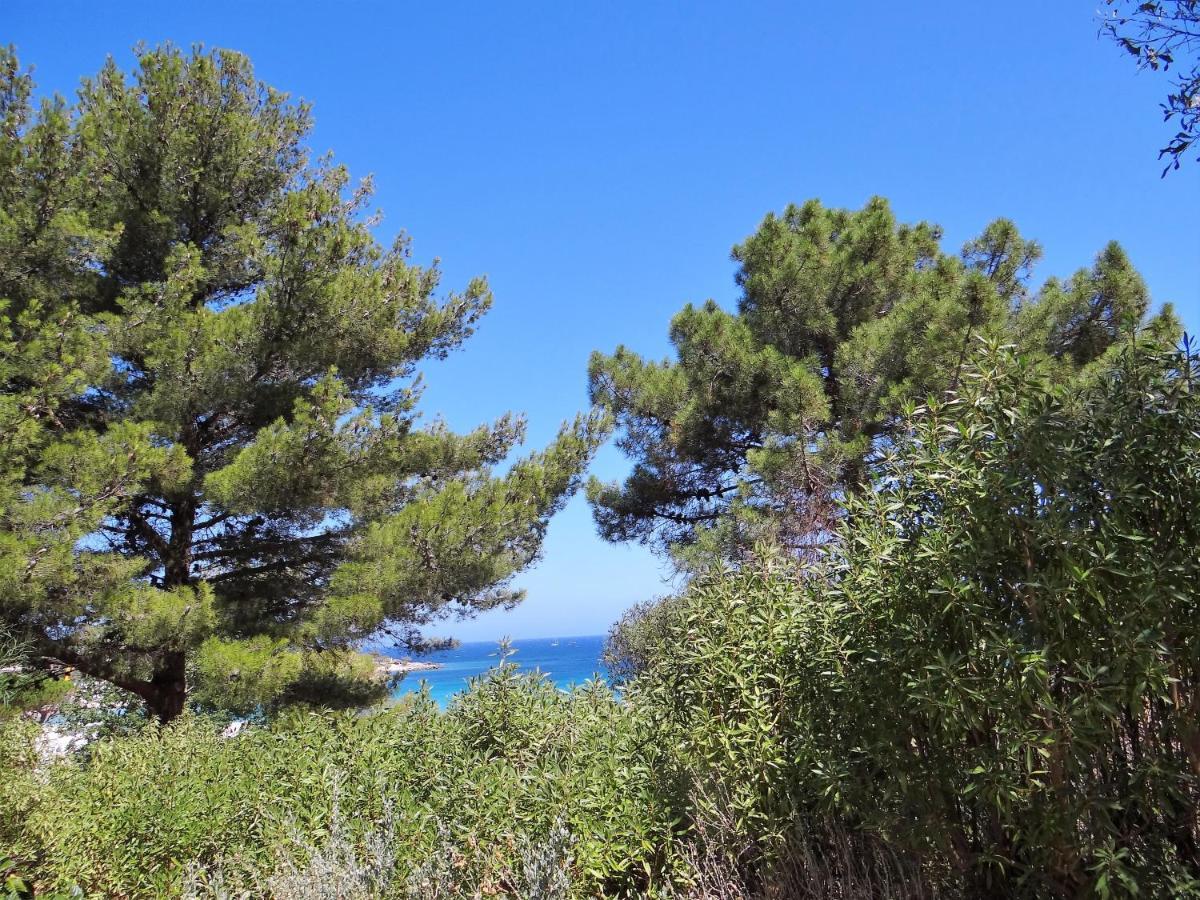 Sant Ambroggio Apartment Lumio (Corsica)