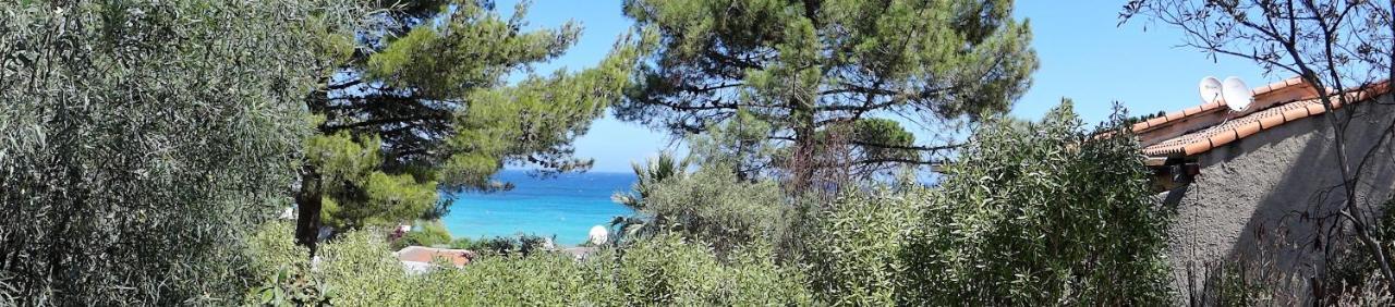Apartment Sant Ambroggio Lumio (Corsica)