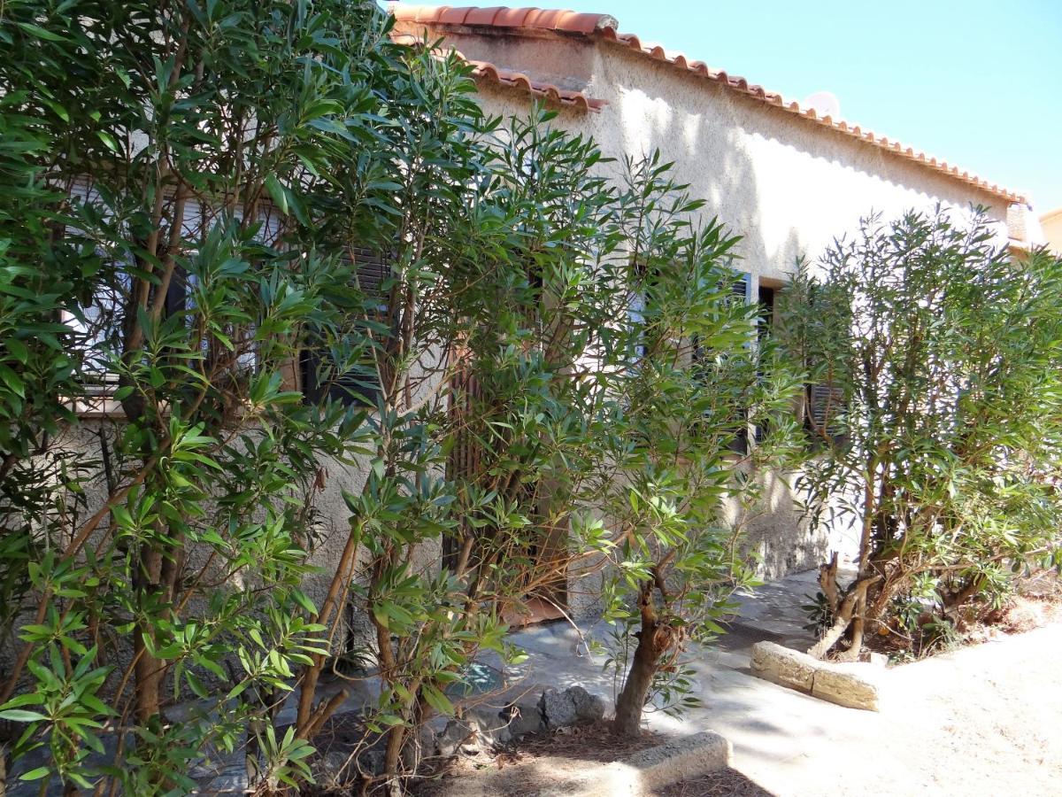 Sant Ambroggio Apartment Lumio (Corsica)